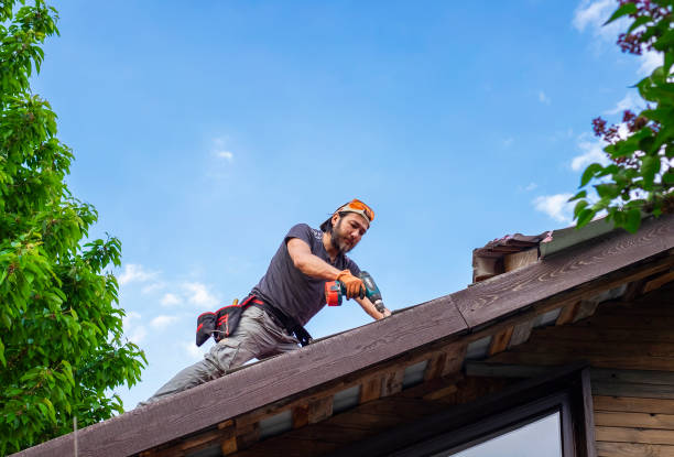 Trusted Battlement Mesa, CO  Roofing repair and installation Experts